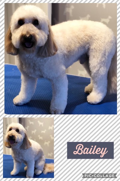 Grooming Van Image
