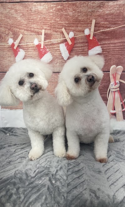 Grooming Van Image
