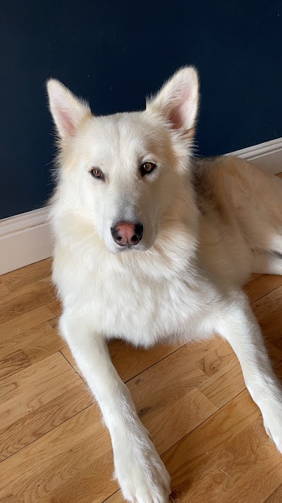 Grooming Van Image