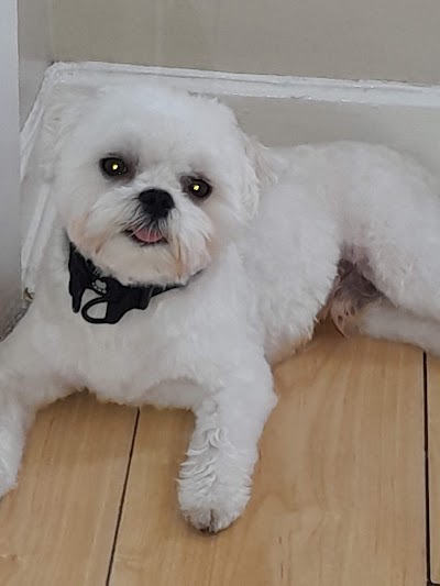 Grooming Van Image