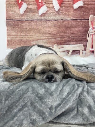 Grooming Van Image