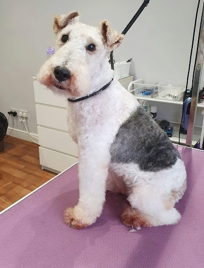 Grooming Van Image