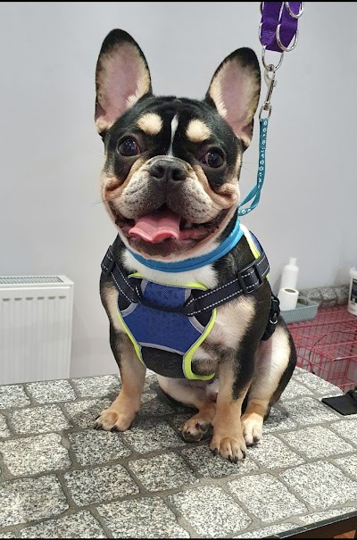 Grooming Van Image