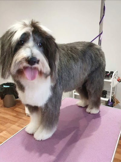 Grooming Van Image