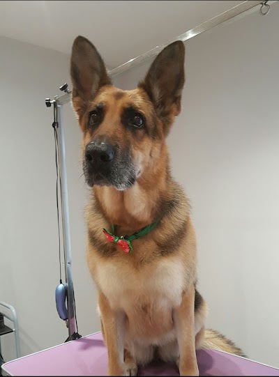Grooming Van Image