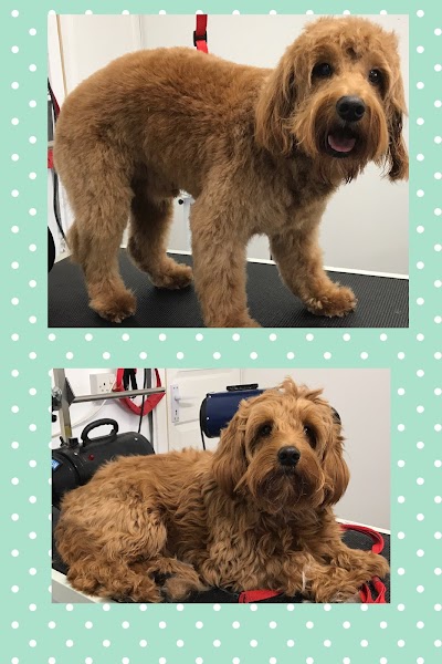 Grooming Van Image