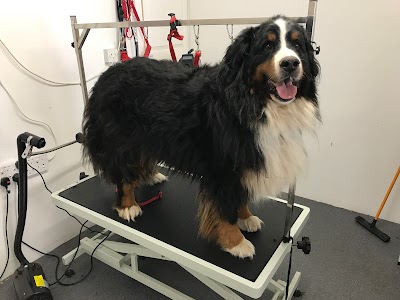 Grooming Van Image