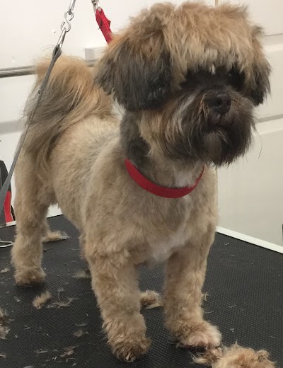 Grooming Van Image