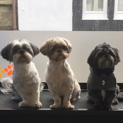Grooming Van Image