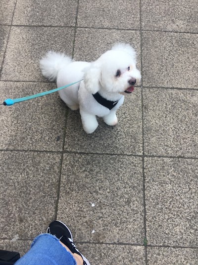 Grooming Van Image