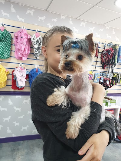 Grooming Van Image