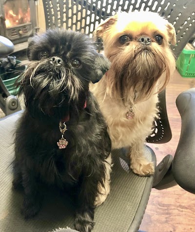 LC Pet Grooming