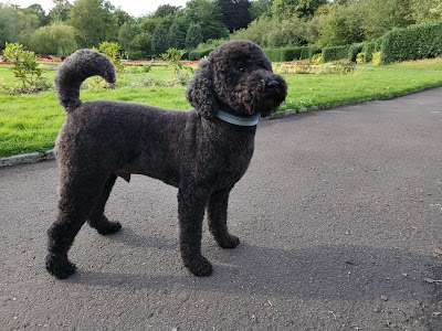 Grooming Van Image
