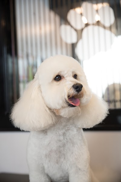 Grooming Van Image