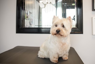 Grooming Van Image