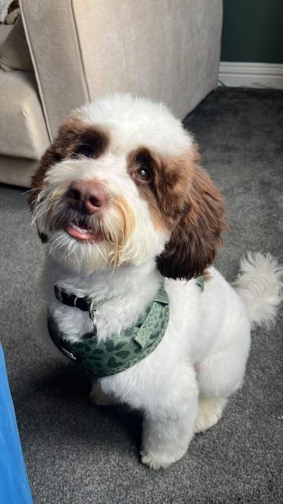 Grooming Van Image
