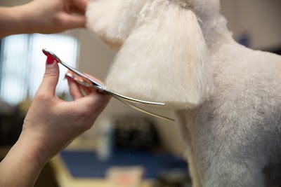 Grooming Van Image