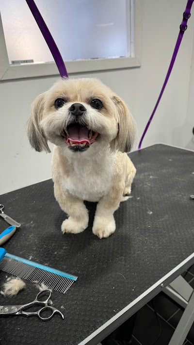 Grooming Van Image