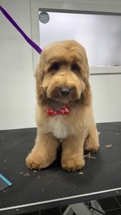 Grooming Van Image