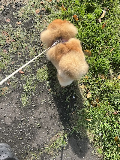 Grooming Van Image