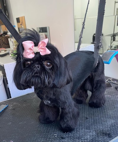 Grooming Van Image