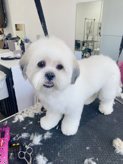 Grooming Van Image