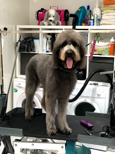 Grooming Van Image