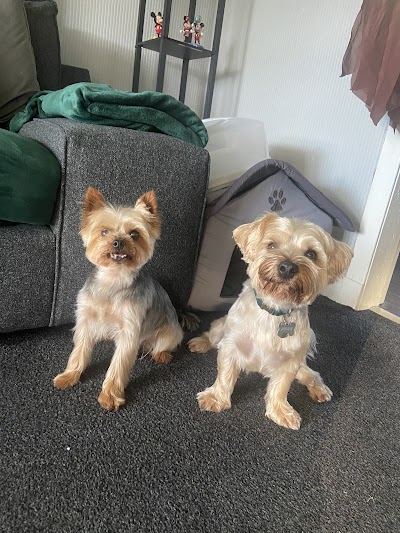 Grooming Van Image