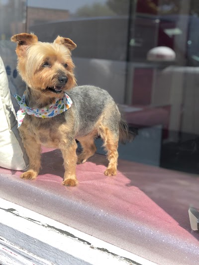 Grooming Van Image