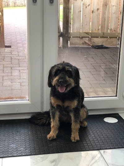 Grooming Van Image