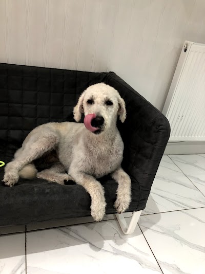 Grooming Van Image