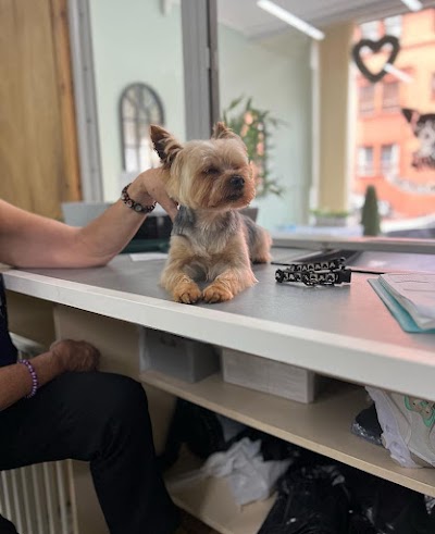 Patricia's Paws Day Grooming Parlour