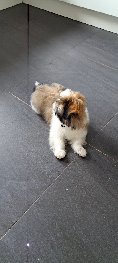 Grooming Van Image