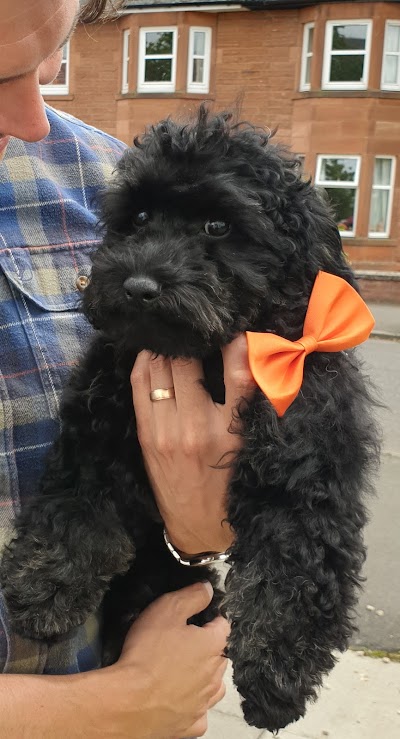 Grooming Van Image