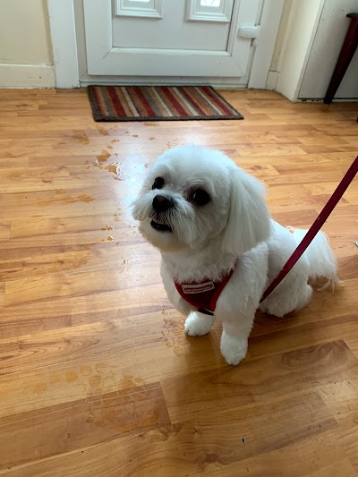 Grooming Van Image