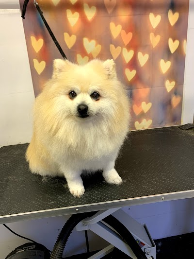 Grooming Van Image