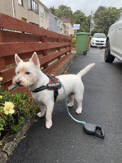 Grooming Van Image