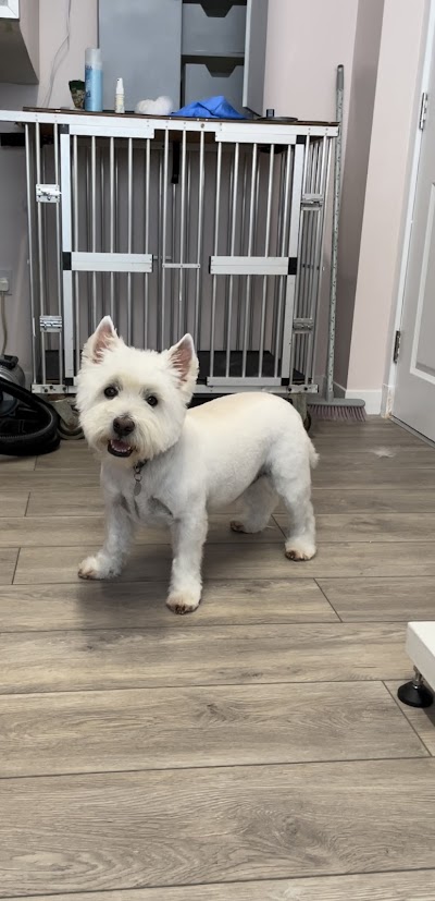 Grooming Van Image