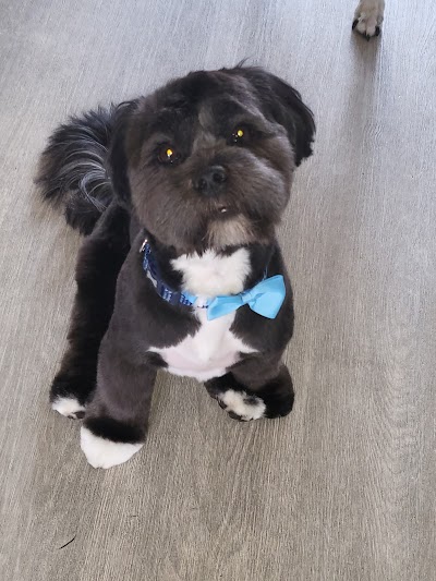Grooming Van Image