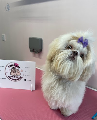 Pawzazz Dog Grooming
