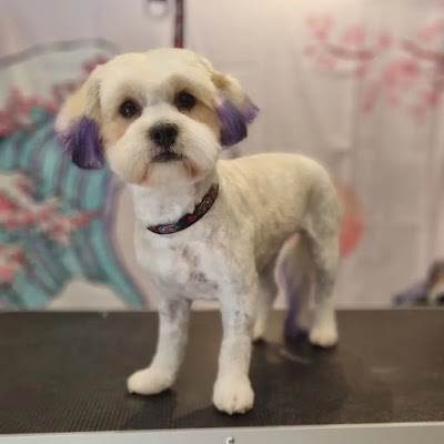 Grooming Van Image
