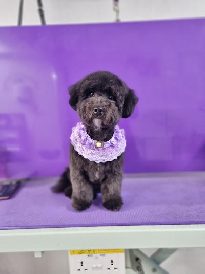 Grooming Van Image