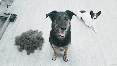 Grooming Van Image