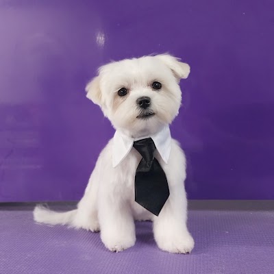 Grooming Van Image