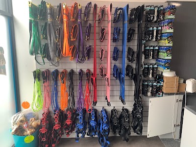 Grooming Van Image