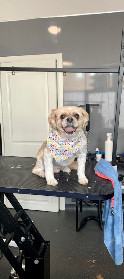 Grooming Van Image