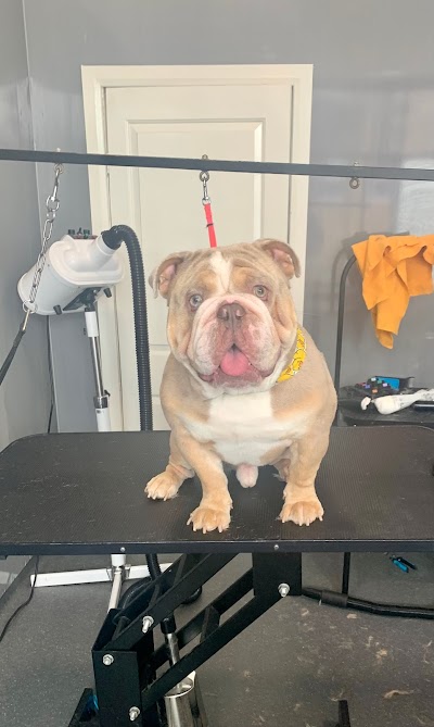 Grooming Van Image