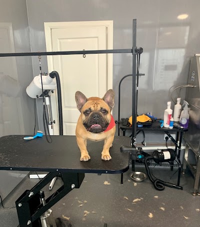 Planet paws dog groomers and pet supplies