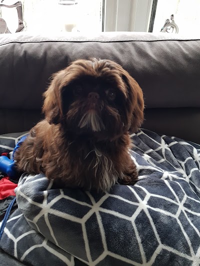 Grooming Van Image