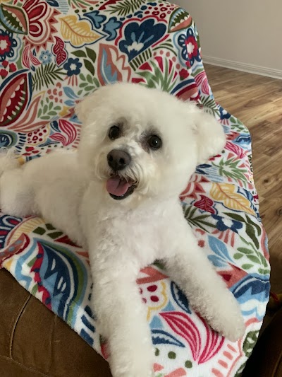 Grooming Van Image
